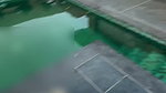 wife Fucked by HUBBY at poolside Openly 2