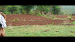 Nair Wild Game ΓÇö App Content 2