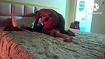 Hotwife Cheated