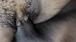 Indian Bhabhi Sex