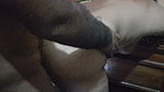 Indian Husband Fucked His Indian Wife in Doggy Style and Gave Great Pleasure to His Wife by Fucking Her Pussy