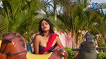 hot shree huge cleavage hot navel show photoshoot 2