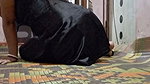 Boudi Fucking With Hubby Updates 2 3