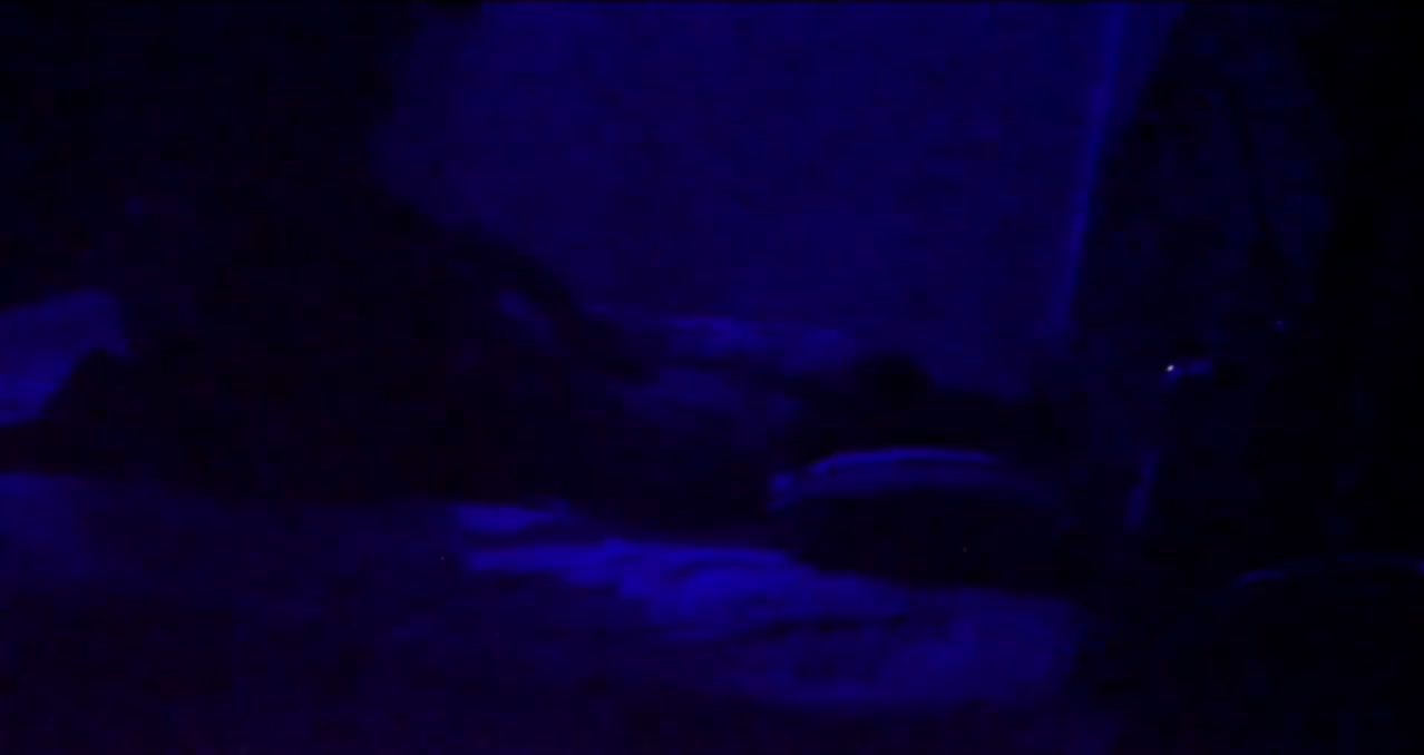 Frame 1