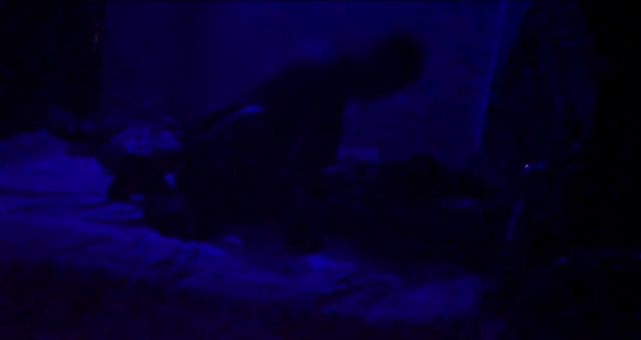Frame 3