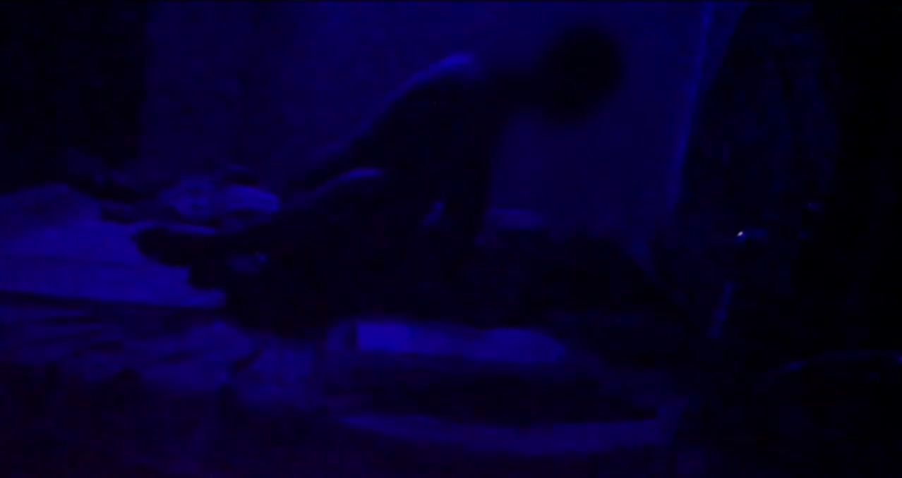 Frame 4