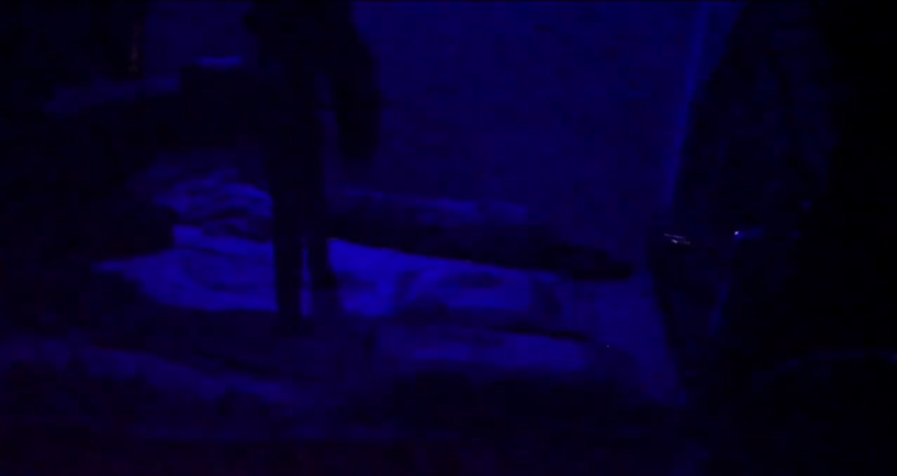Frame 7