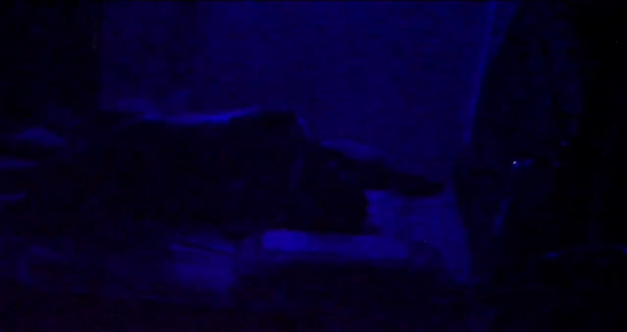 Frame 9