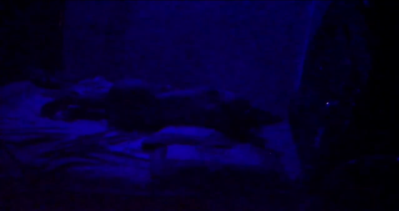 Frame 10