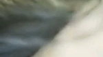 Arab Shahy Tango Private