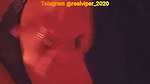 Baby Doll Tango (13.11.20)
