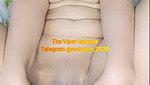 Bolssom Babe Tango (21.11.20) @realviper_2020