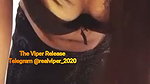 Devilish Queen Tango (19.11.20) @realviper_2020