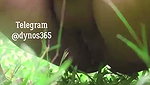 Dynos365 Model videos – (22)