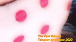 Tango Queen Live (27.11.20) @realviper_2020