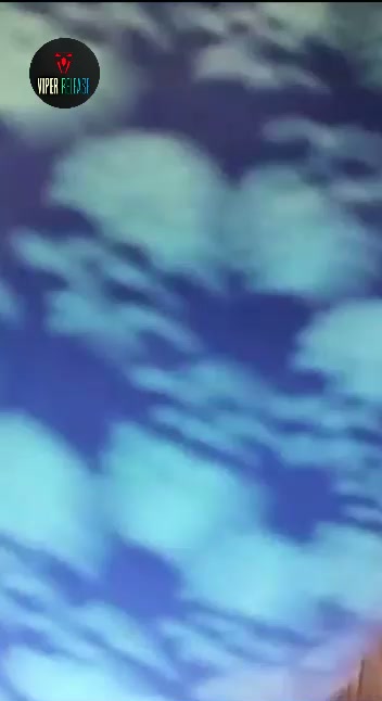 Frame 6