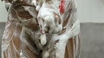 Taking bath with pusssy