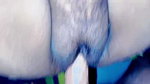 Desi bhabhi fucking pussy full sex video