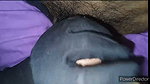 Desi Saxy Girl And Saxy Boy Fuck You Foryou Hot Video 2026 New sex