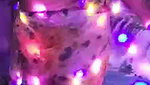 Aadhira_ 28.01.21