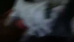 Noor Pari Tango 09.01.21