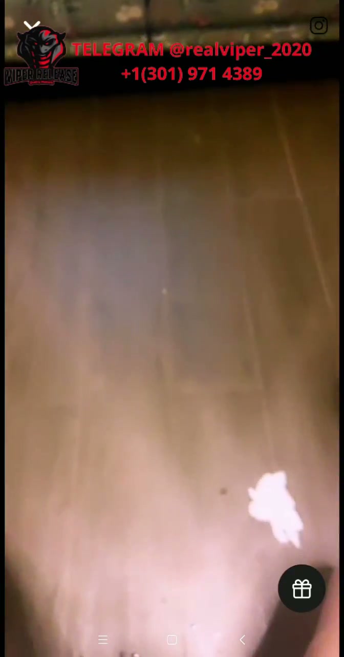 Frame 6