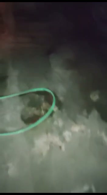 Frame 9