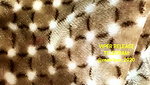 HOTNESS BABY – 31 DEC