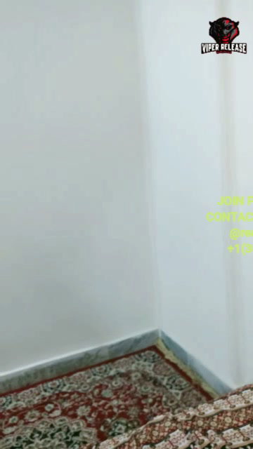 Frame 5