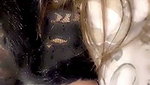 LISA KHURANNA – 31 DEC