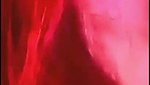 LISA KITT – 01 DEC