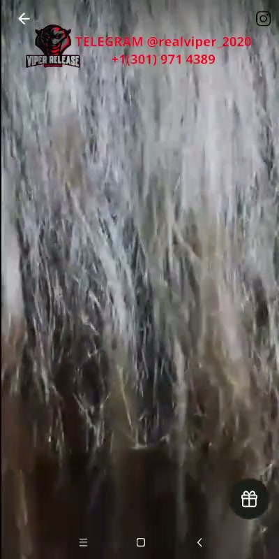Frame 7