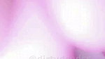 LILY BILY