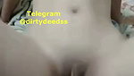 MEOW 4