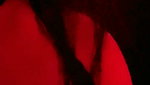 SANJANA – TANGO PREMIUM