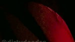 SANJANA – TANGO PREMIUM