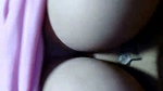 SUGAR
