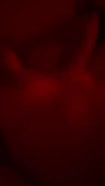 Frame 1