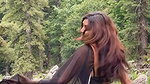 LOVELY GF MATERIAL RITU MESMERIZING SEXY IN BLACK SAREE 2