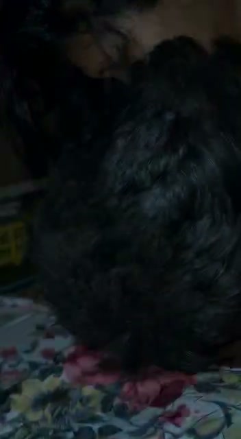 Frame 6