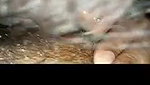 My wife big boobs & blowjob