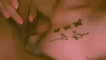 Kashish 3