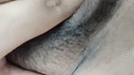 PAYEL
