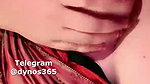 Vinee 121