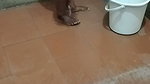After Sex Washing