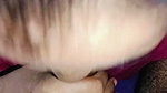 Blowjob by Cute Girl