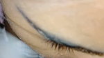Desi Wife Homemade Blowjob