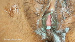 Good Cum in My Stepsister Neha’s Little Pussy