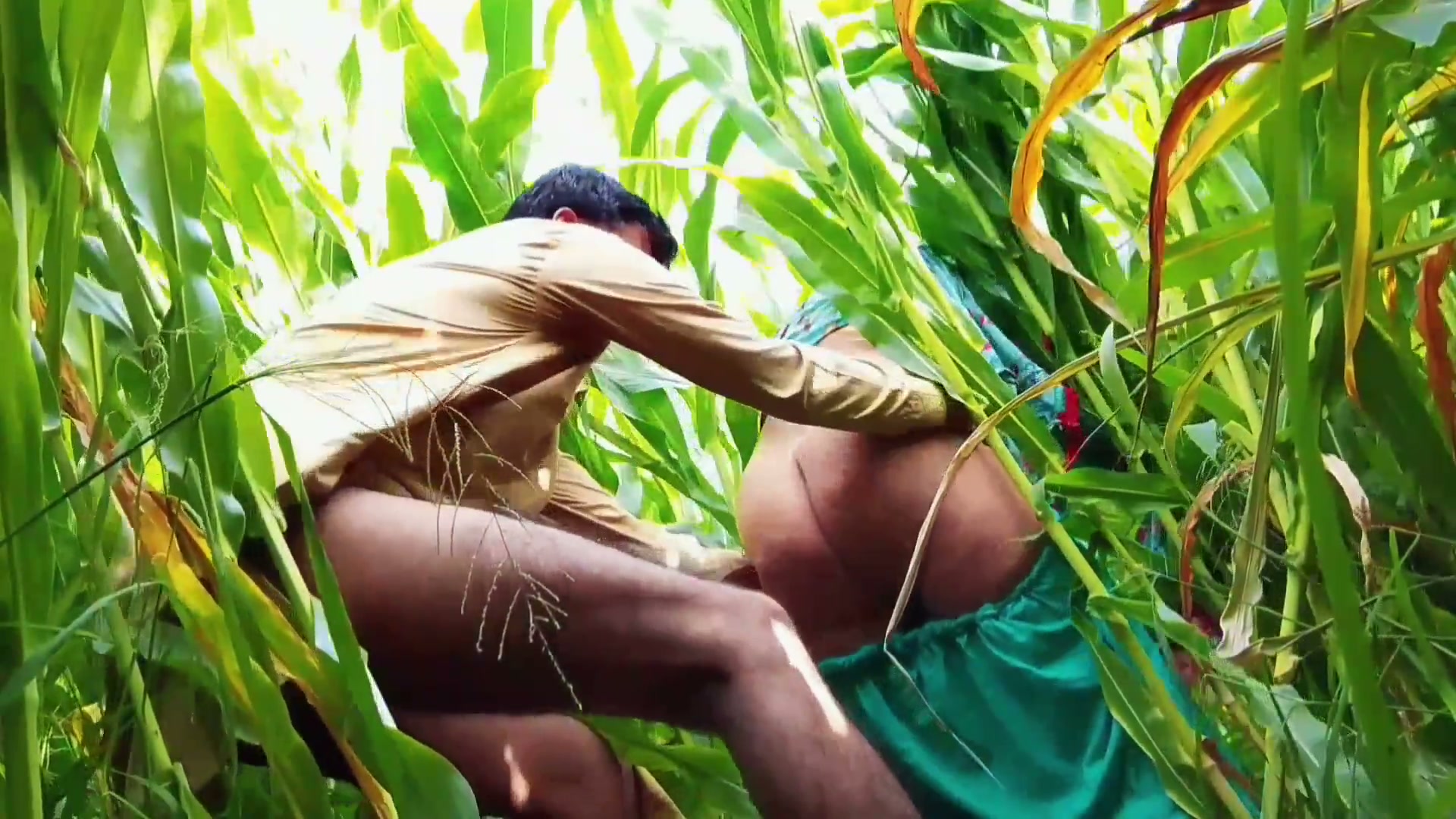 Frame 1