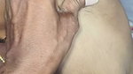 Hot Wife Fucking with Husband Stepbrother in Room